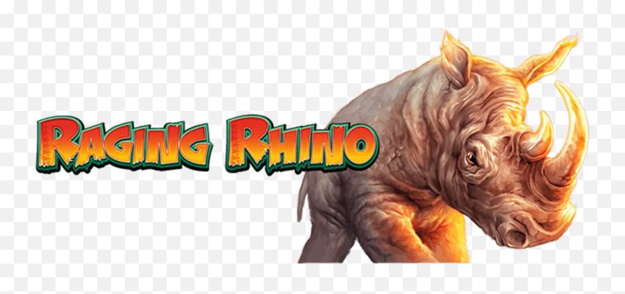 Free black rhino slot game