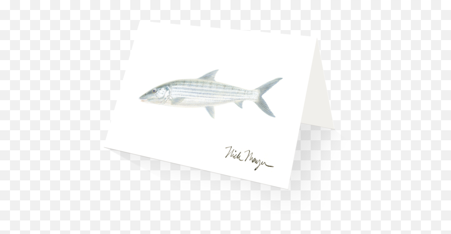 Bonefish Boxed Cards - Cypriniformes Png,Flying Fish Logo