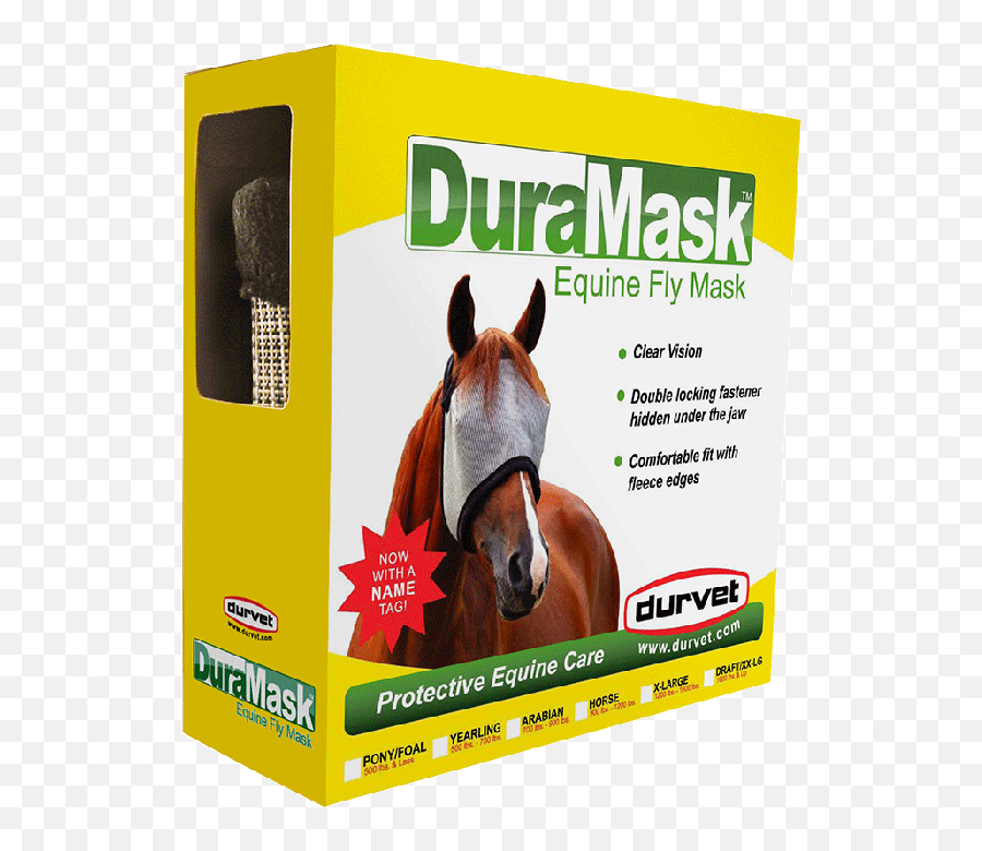 Horse Fly Mask Png
