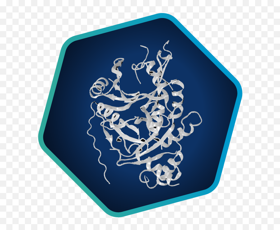 Applications - Language Png,Drug Development Icon