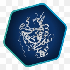 Applications - Language png