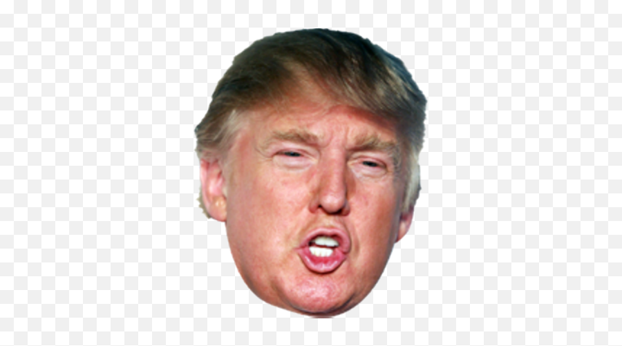 Donald Trump Png Head Picture 687017 - Chicken Nugget Meme Gif,Donald Trump Head Transparent