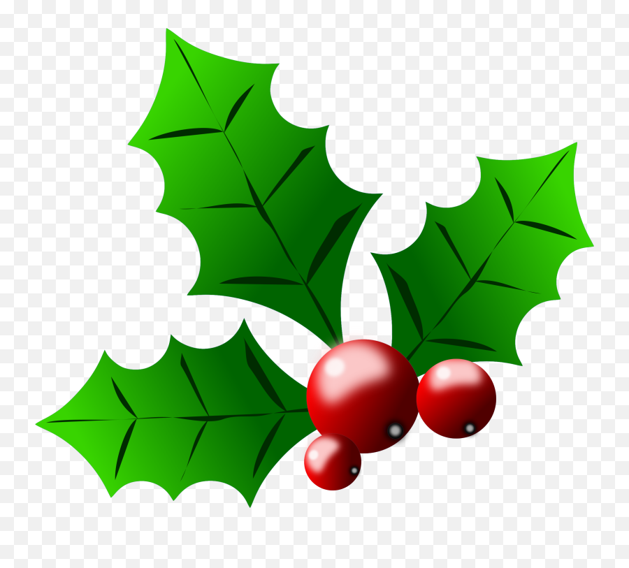 Clip Art Royalty Free Library Png Files - Transparent Background Christmas Holly Clipart,Ivy Png
