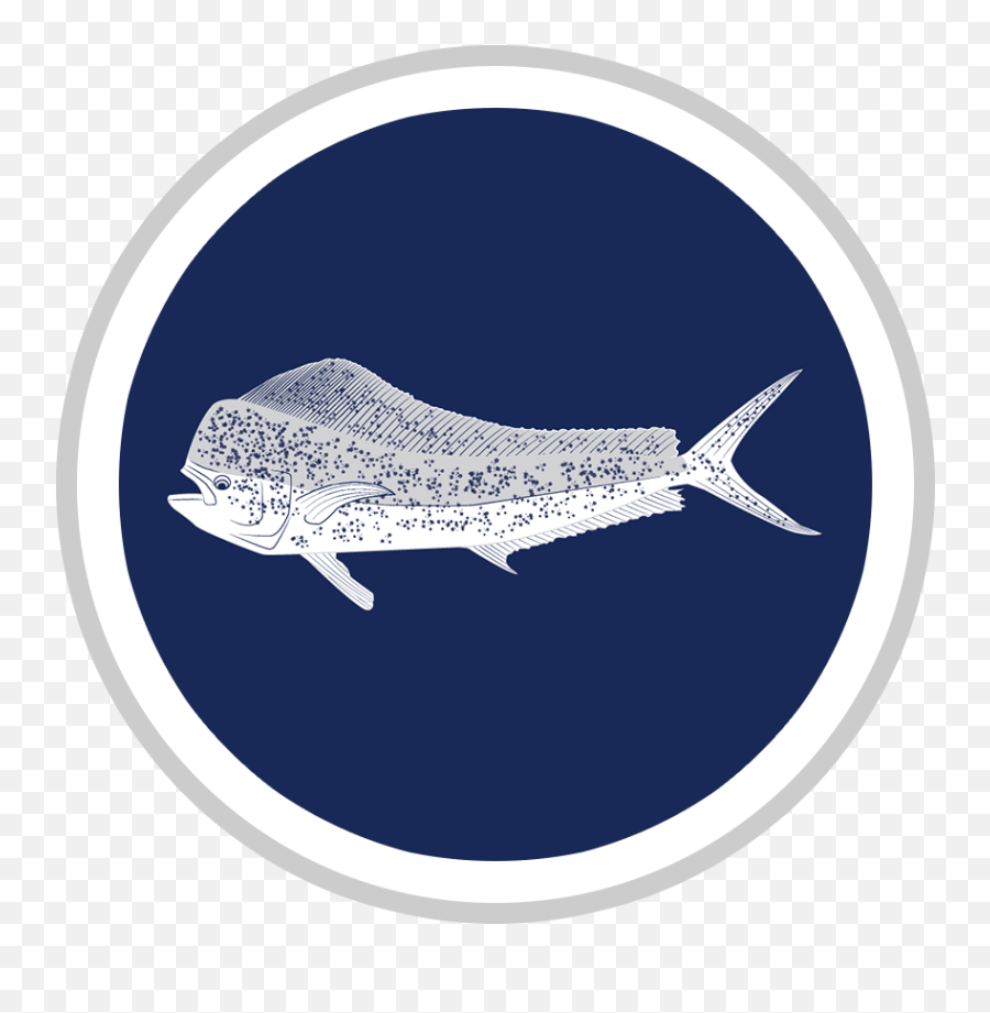 Letu0027s Make Someday Today The Angleru0027s Agent - Fish Products Png,Pelican Icon 120x Angler