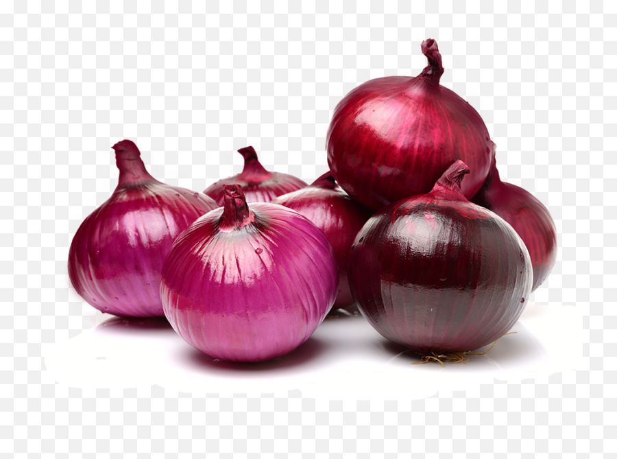 Red Onion Png Image With No Background - Red Onion Png,Onion Png