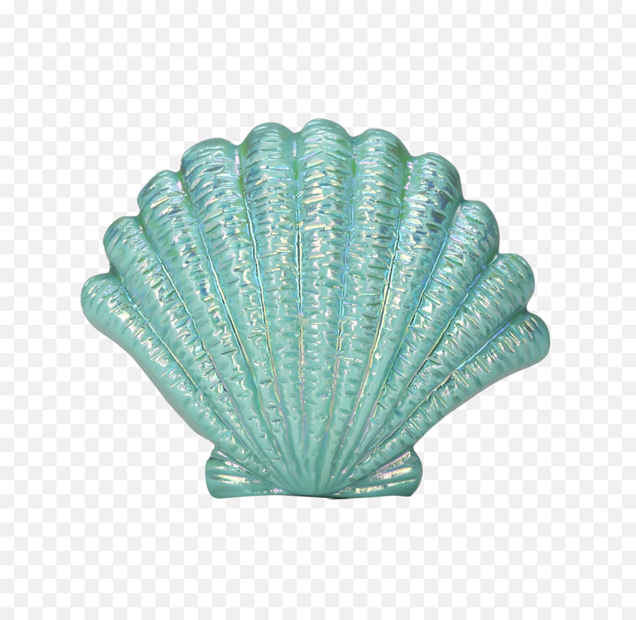 Blue Seashell Png Image - Transparent Background Seashell Png,Sea Shell Png