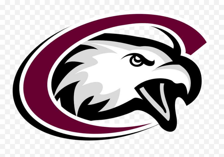 Chadron State Eagles Color Codes Hex Rgb And Cmyk - Team Chadron State College Athletics Png,Eagles Icon