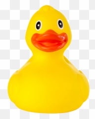 Download Rubber Duck Race - Rubber Duck Png Image With No Rubber Duck,Rubber Chicken Png
