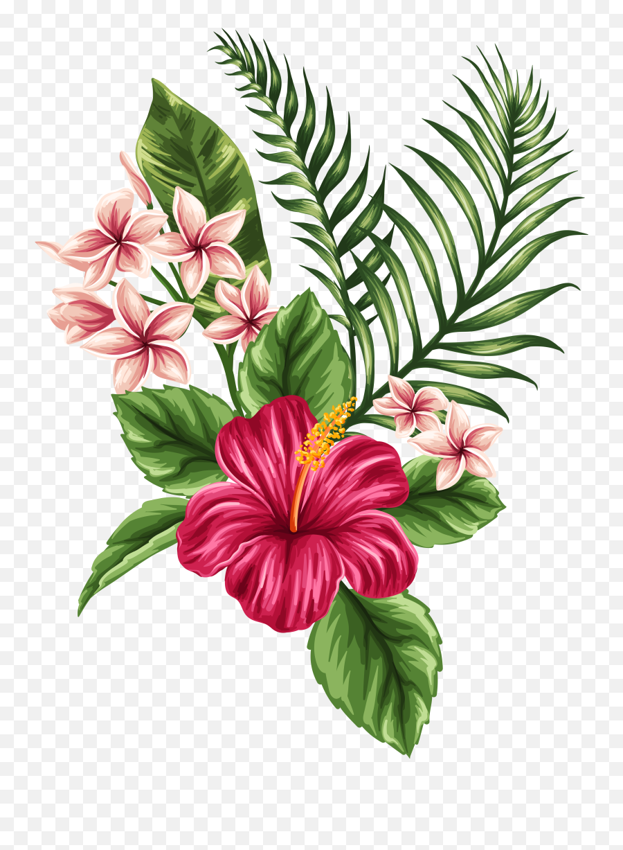 Tropical Watercolor Flowers Leaves - Hibiscus Hawaiian Flower Drawing Png,Hawaiian Flowers Png