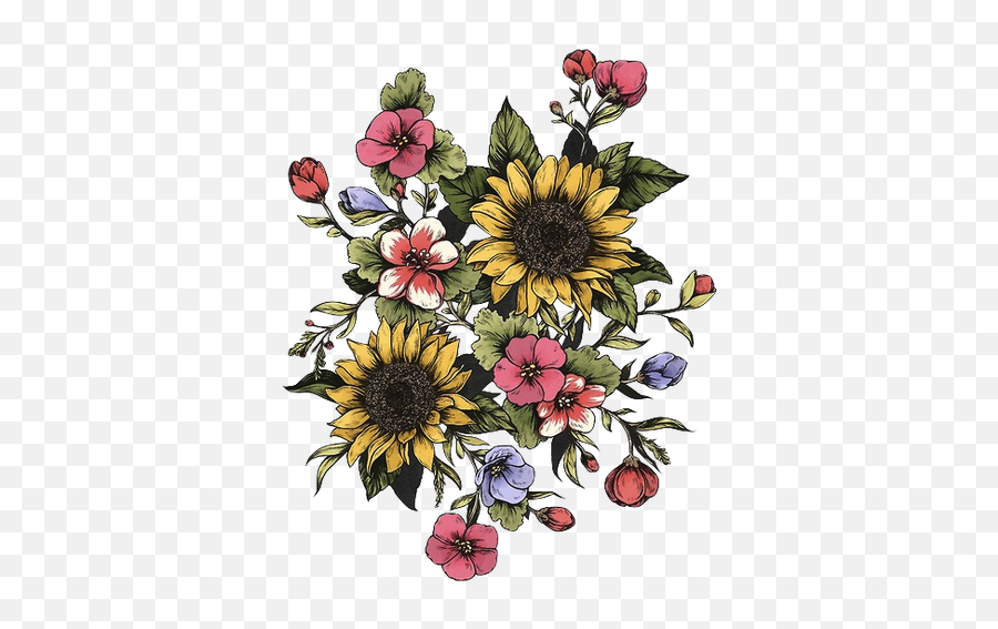 Drawing Floral Design Common Sunflower - Daisy Flower Bouquet Drawing Png,Flowers Transparent Tumblr