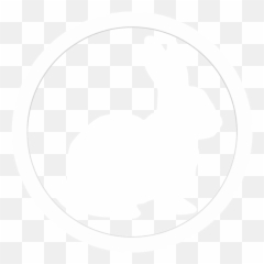 About White Rabbit Search Png