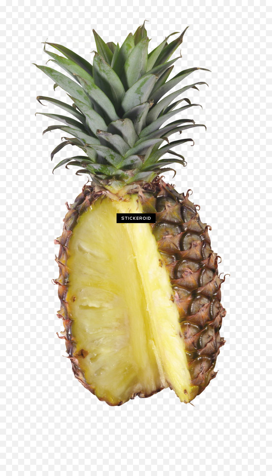 Download Pineapple Fruit - Pineapple Png Image With No Pineapple,Pinapple Png