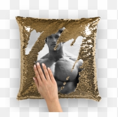 Arnold Schwarzenegger Sequin Cushion Cover - Jason Momoa Sequin Pillow Png,Arnold Schwarzenegger Transparent