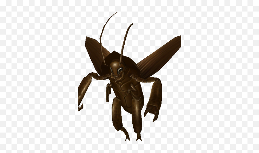 Roach - Hornet Png,Roach Png