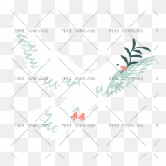 Dove Bird Png Image With Transparent