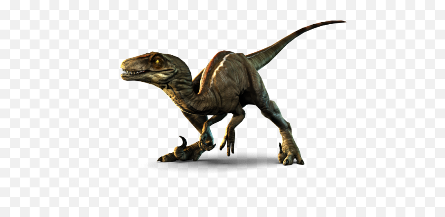 Velociraptor Png Picture - Primal Carnage Velociraptor,Velociraptor Png