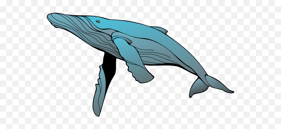 Download Whale Com Png Clipart - Humpback Whale Clipart,Whale Clipart Png