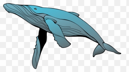Download Whale Com Png Clipart - Humpback Whale Clipart,Whale Clipart Png