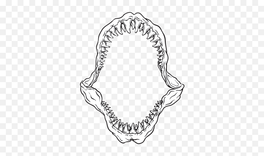 Shark Outline Png - Collection Of Free Jaws Drawing Great Clip Art Shark Tooth,Shark Transparent Background