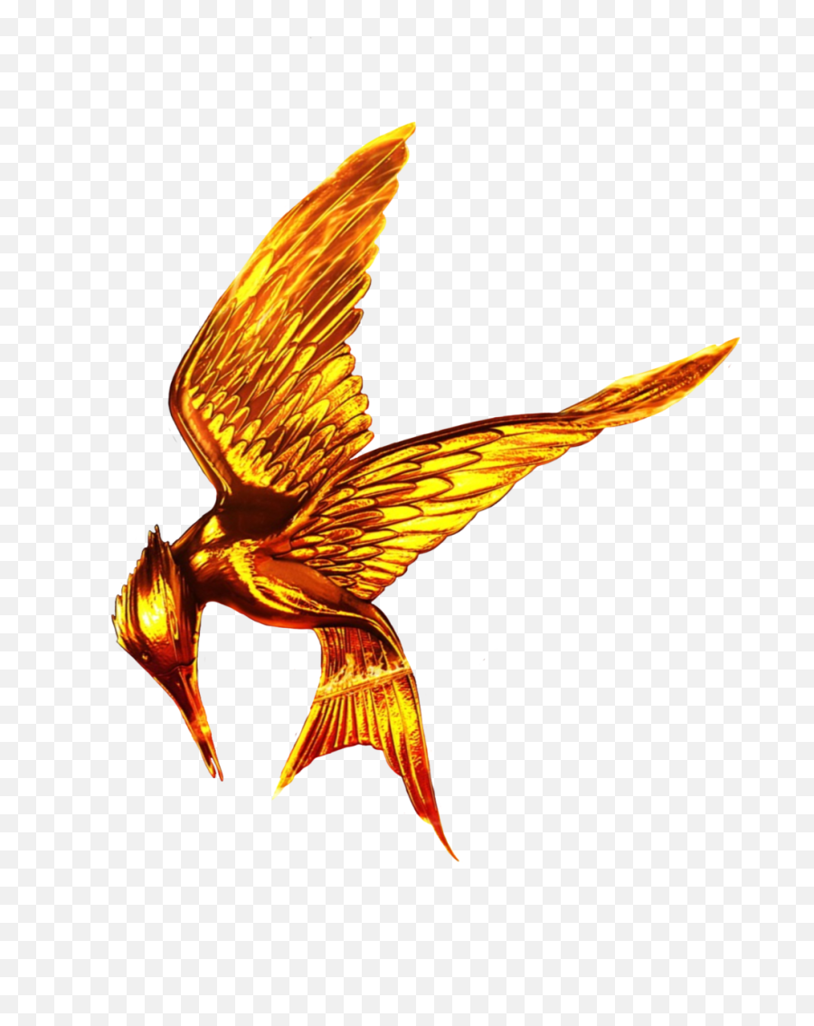 Hunger Games Png Free Download - Transparent Hunger Games Logo,Hunger Games Png