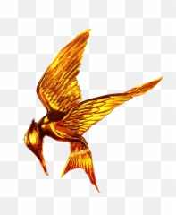 Hunger Games Png Free Download - Transparent Logo