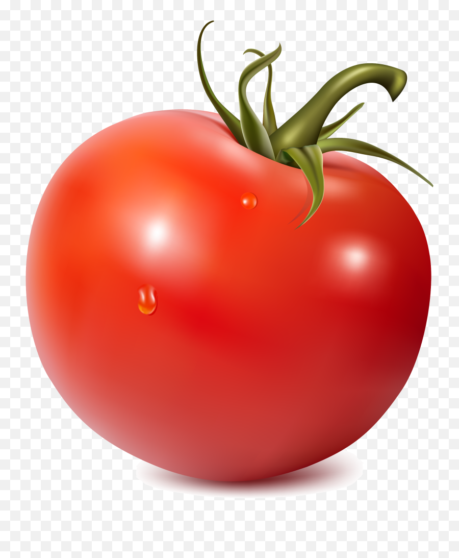 Tomato Png Image For Free Download - Transparent Cherry Tomato Png,Tomato Png