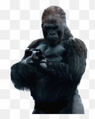 Red Ficreation Fandom - Figurine Png,Gorilla Transparent Background