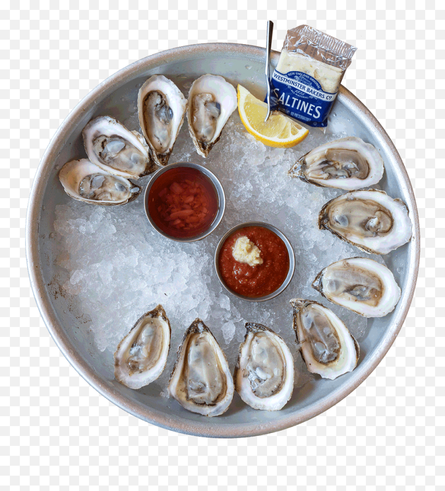King Street Oyster Bar Png Image - Tiostrea Chilensis,Oysters Png