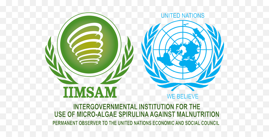 Iimsamu201d United Nations Organization Shomokh Group - United Nations We Believe Png,Nations Logo