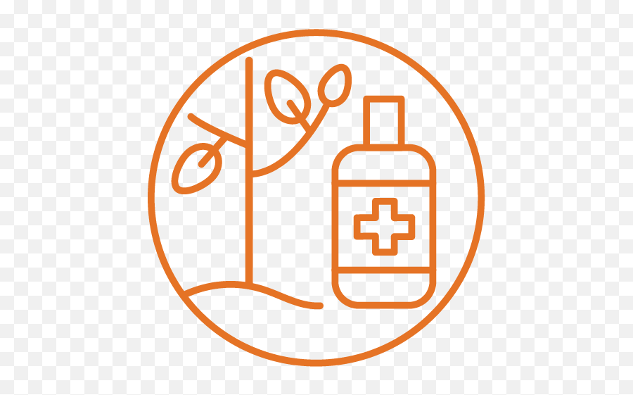 Plant Health Care Services Minneapolis And St Paul Tree - Icon Png,Birch Tree Png