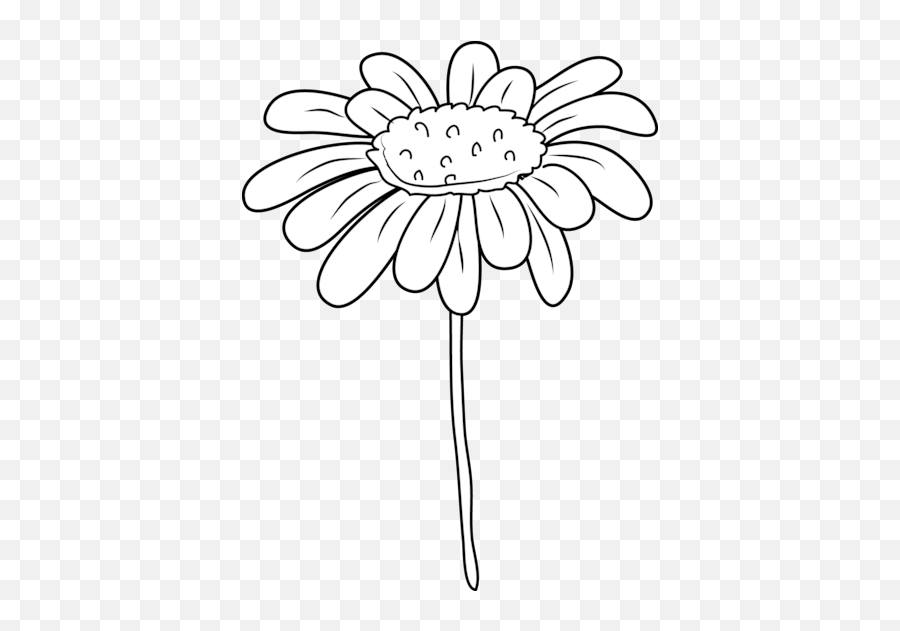 Download White Daisy Drawing - Daisy Flower Clipart Black And White Png,White Daisy Png