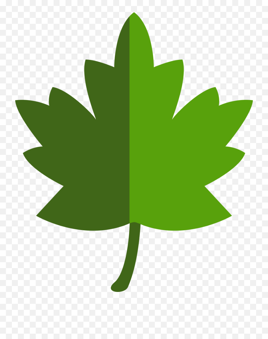 Download Png Leave Vector Clip Art - Leave Transparent Canada Canada National Anthem,Transparent Leaves