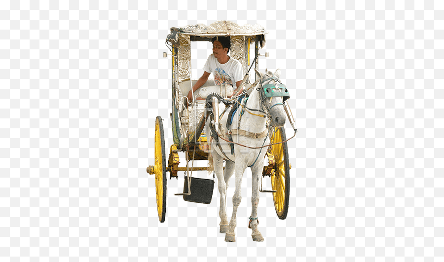 Horse Carriage And Driver - Horse Harness Png,Carriage Png