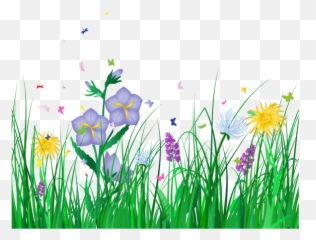 Flower Meadow Clipart Transparent Images U2013 Free Png - Spring Flowers Background