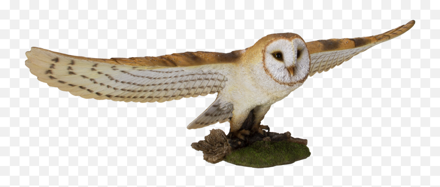 Animal World Flying Open Wing Barn Owl - Barn Owl Png,Barn Owl Icon