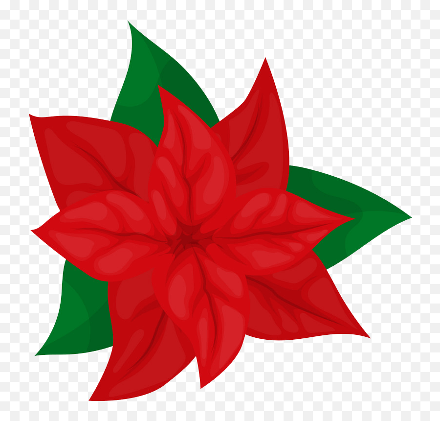 Poinsettia Clipart - Clipartworld Flower Png,Poinsettia Icon Png