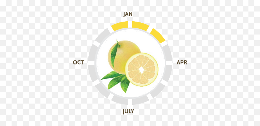 Our Varieties - Suntreat Meyer Lemon Png,Lime Wedge Icon