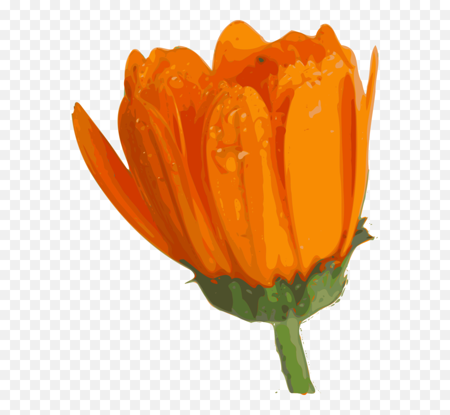 Flower Clip Art - Vector Clip Art Online Flower Blooming Gif Transparent Png,Orange Flowers Png