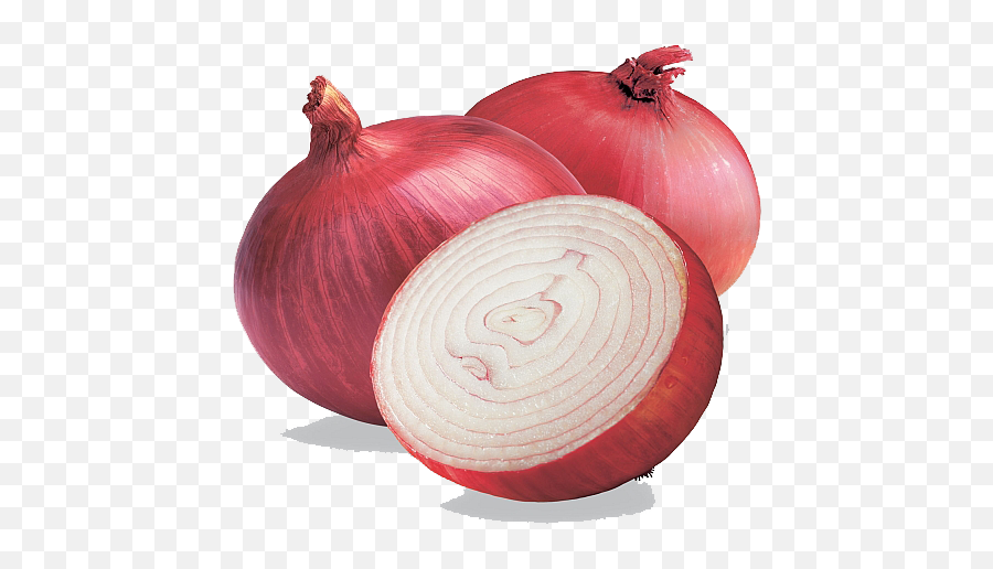 Onion Png Transparent Images - Transparent Onion Png,Onion Png