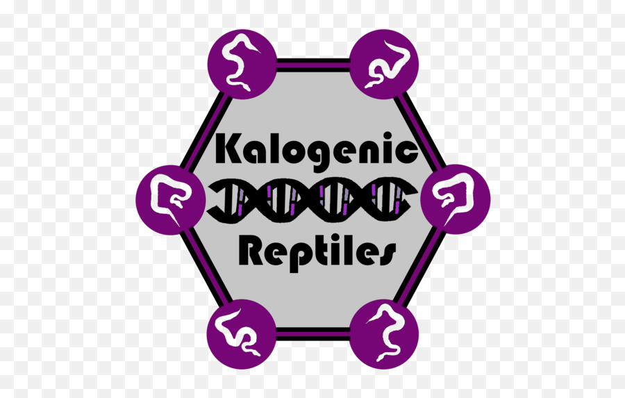 Kalogenic Reptiles - Private Network Icon Png,Reptiles Png