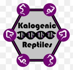 Kalogenic Reptiles - Private Network Icon Png,Reptiles Png