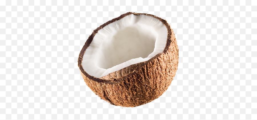 Jax Coco - Jax Coco Is 100 Pure Coconut Water With Coconut Png,Coconut Png