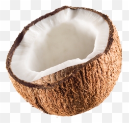 Jax Coco - Jax Coco Is 100 Pure Coconut Water With Coconut Png,Coconut Png