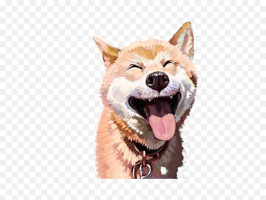 Download Doge Transparent Png Graphic Background