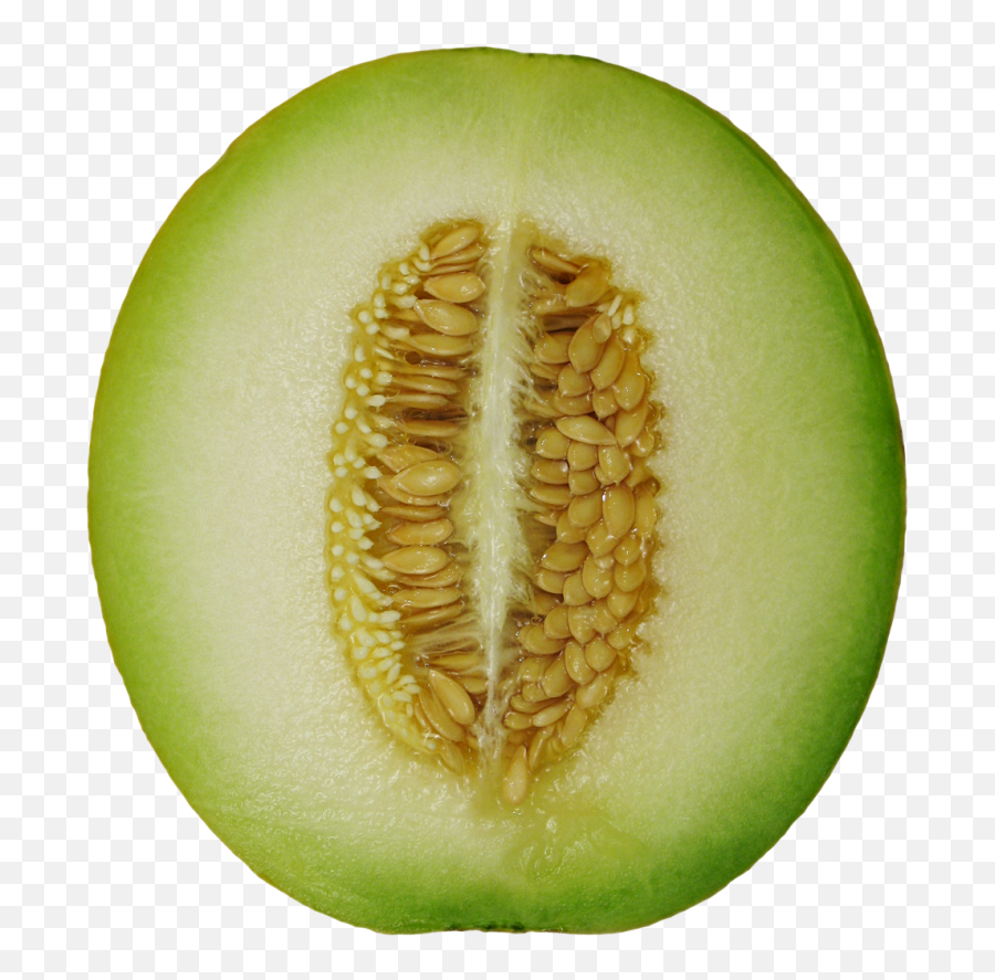 Winter Melon Png Image - Winter Melon Png,Gourd Png
