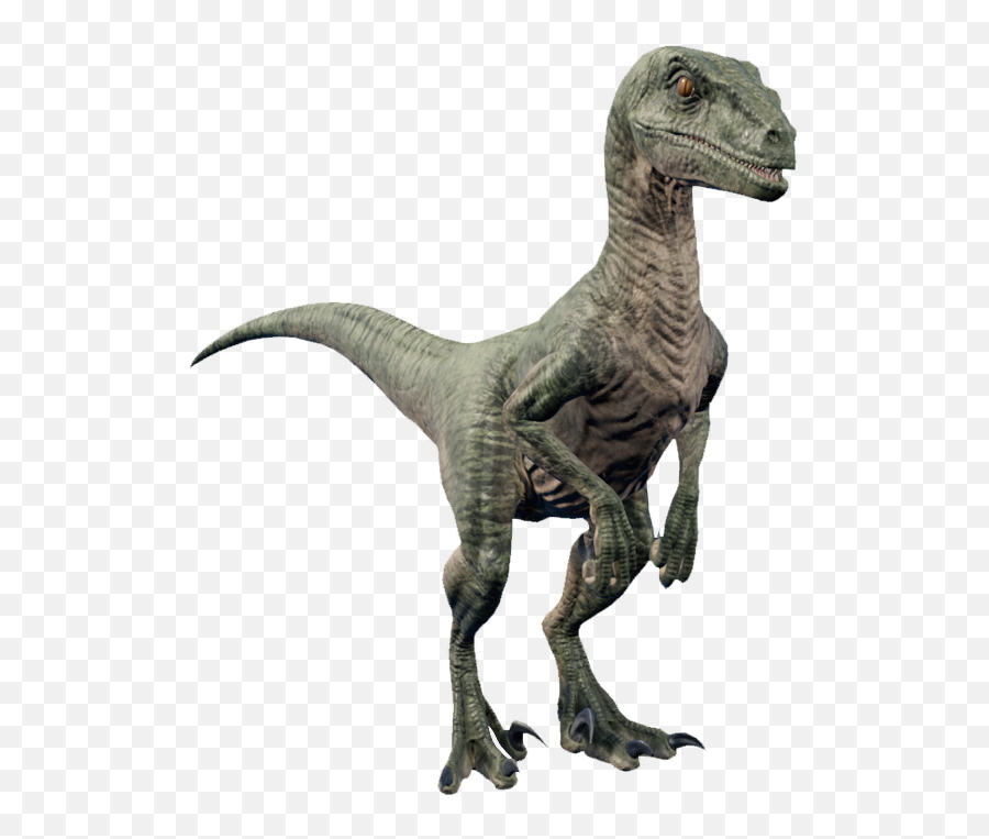 Velociraptor - Velociraptor Dinosaur Png,Velociraptor Png