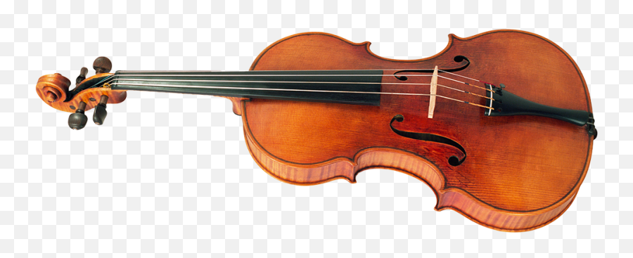 Baroque Viola Aquila Corde Armoniche - Viola Png,Viola Png