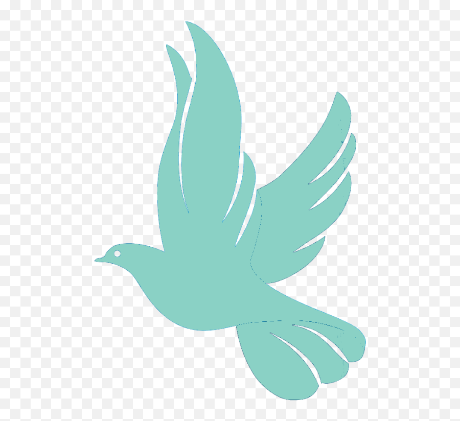 Download 60 White Doves - Stock Dove Png,Dove Png