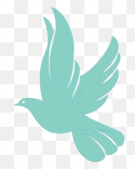 Download 60 White Doves - Stock png
