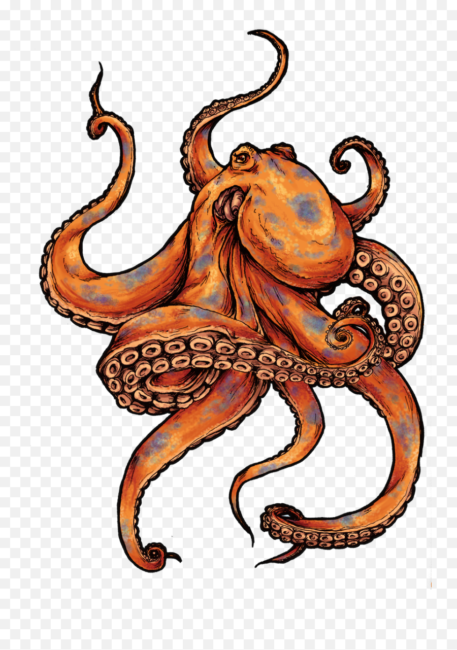 Octopus - Colored Octopus Tattoo Design Png,Octopus Png